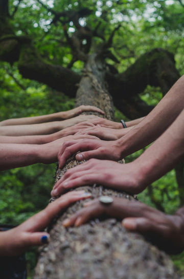 🌿 **Empower Your Shopping Experience with Tactical Choice Plus: A Minority-Owned Haven for Sustainability in the Outdoor Industry!** 🌍 - Tactical Choice Plus
