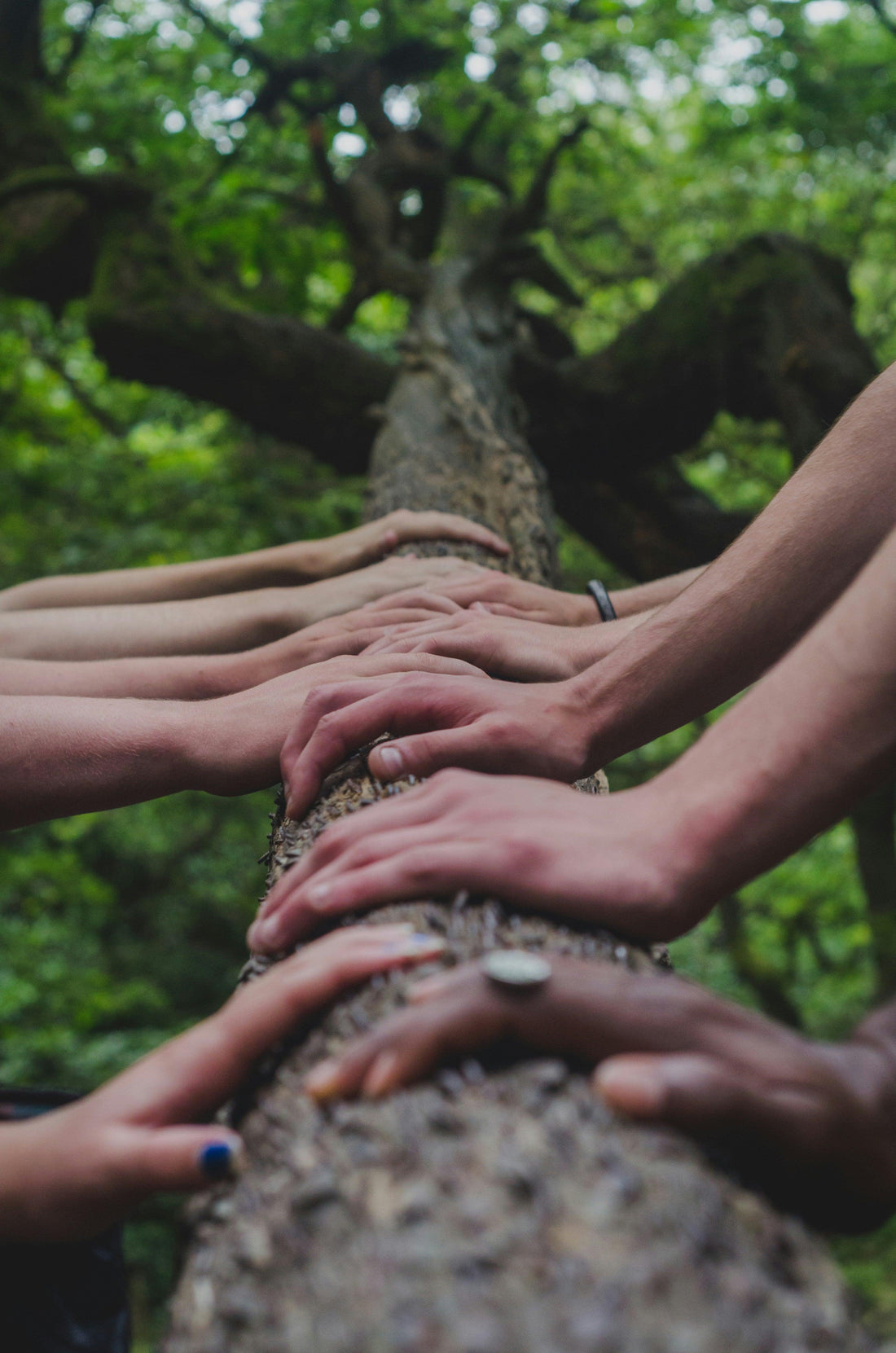 🌿 **Empower Your Shopping Experience with Tactical Choice Plus: A Minority-Owned Haven for Sustainability in the Outdoor Industry!** 🌍 - Tactical Choice Plus