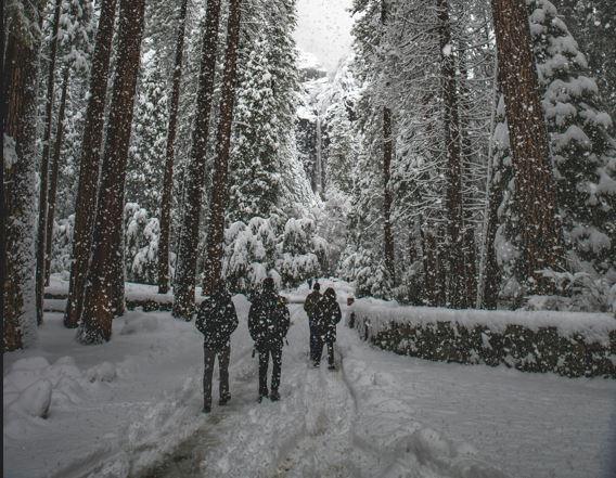 ❄️🌨️Winter Adventure Essentials: Conquer the Cold with Tactical Choice Plus! ❄️🌨️ - Tactical Choice Plus
