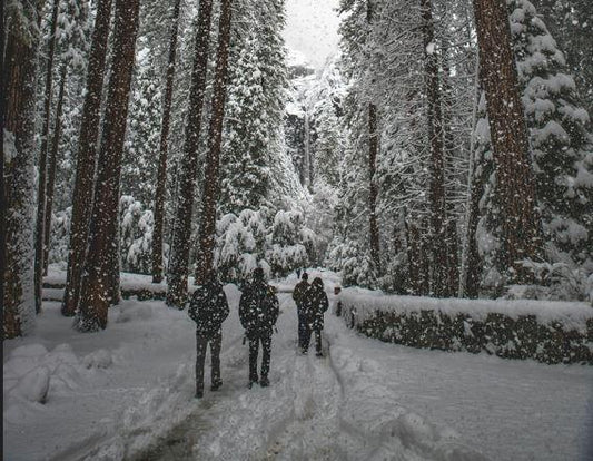 ❄️🌨️Winter Adventure Essentials: Conquer the Cold with Tactical Choice Plus! ❄️🌨️ - Tactical Choice Plus