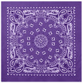 Rothco Trainmen Paisley Bandana - 22