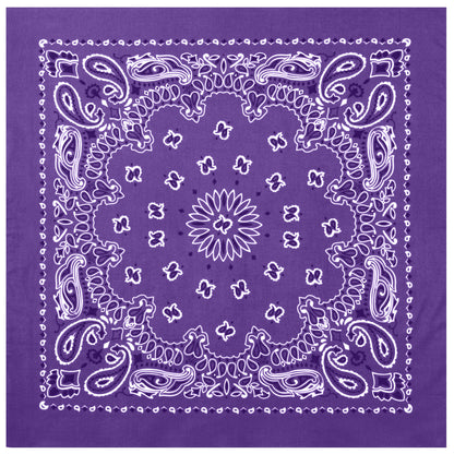 Trainmen Paisley Bandana - 22" X 22"
