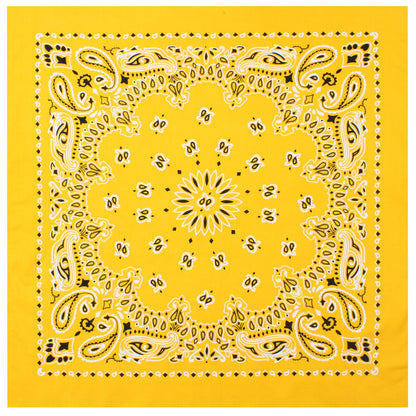 Trainmen Paisley Bandana - 22" X 22"