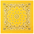 Rothco Trainmen Paisley Bandana - 22