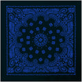 Rothco Trainmen Paisley Bandana - 22