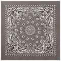 Rothco Trainmen Paisley Bandana - 22