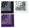 Rothco Trainmen Paisley Bandana - 22