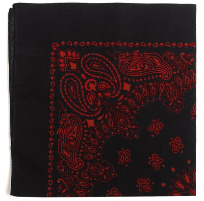 Trainmen Paisley Bandana - 22" X 22"