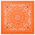 Rothco Trainmen Paisley Bandana - 22