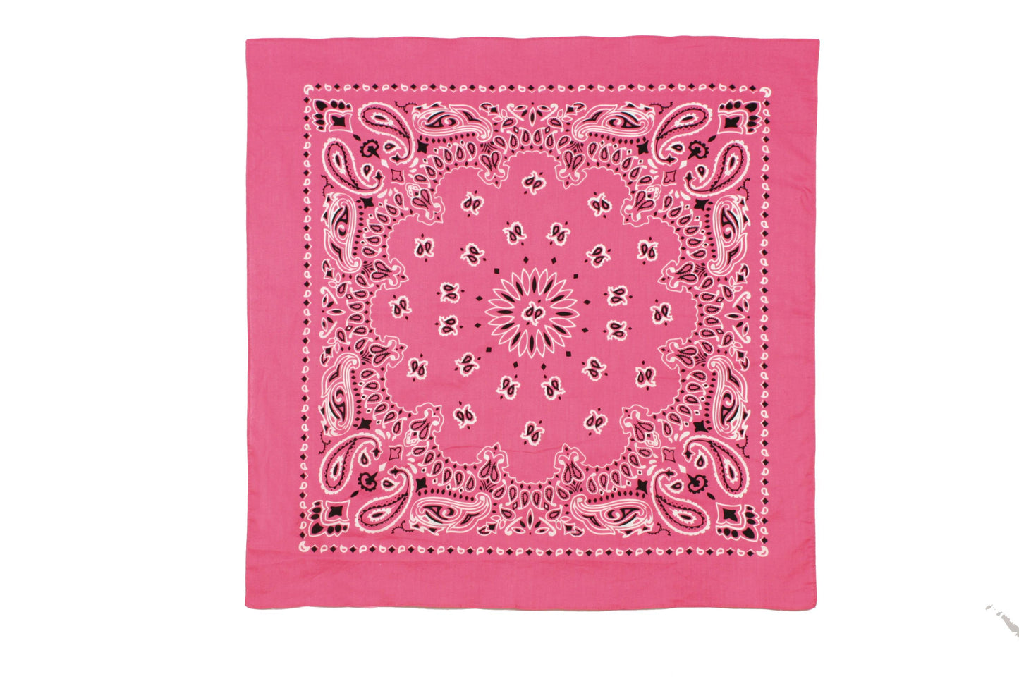 Trainmen Paisley Bandana - 22" X 22"