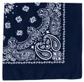 Rothco Trainmen Paisley Bandana - 22