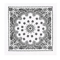 Rothco Trainmen Paisley Bandana - 22