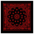 Rothco Trainmen Paisley Bandana - 22