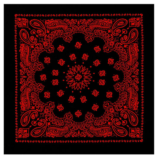 Rothco Trainmen Paisley Bandana - 22" X 22" - Tactical Choice Plus